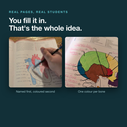 The Human Body Coloring Book