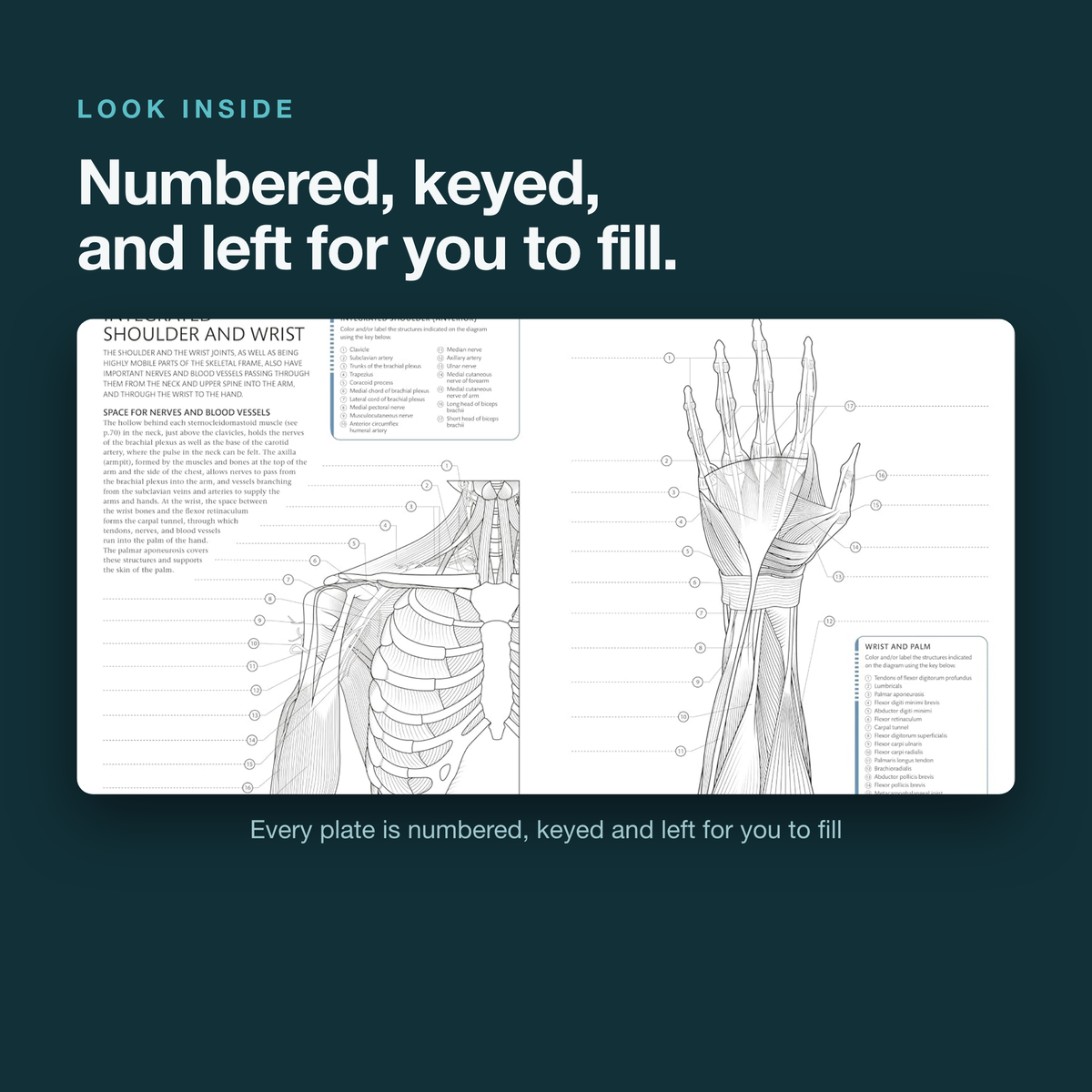 The Human Body Coloring Book