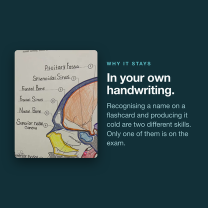 The Human Body Coloring Book