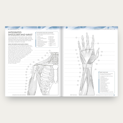 The Human Body Coloring Book