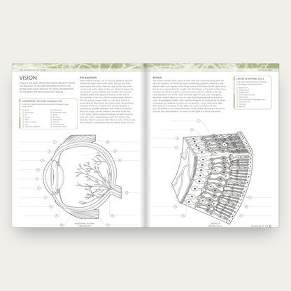 The Human Body Coloring Book