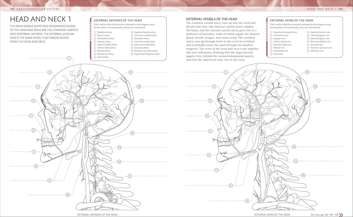 The Human Body Coloring Book + Markers