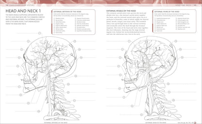 The Human Body Coloring Book + Markers