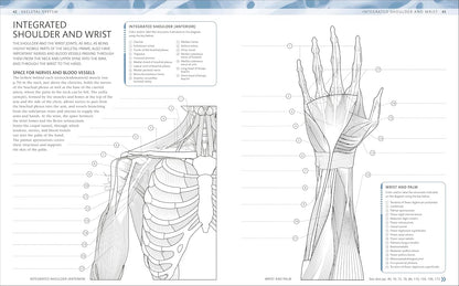 The Human Body Coloring Book + Markers