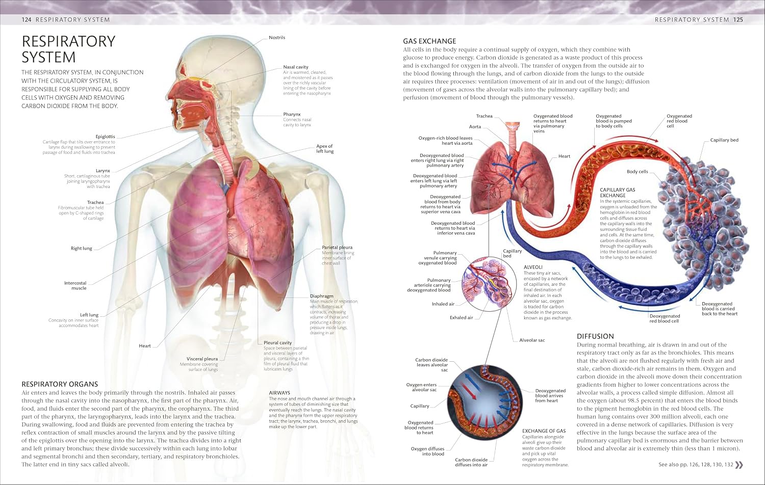 The Human Body Coloring Book + Markers