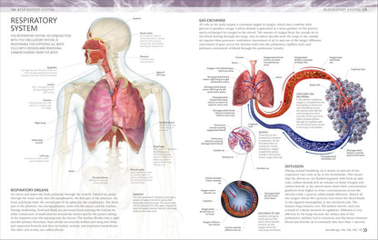 The Human Body Coloring Book + Markers
