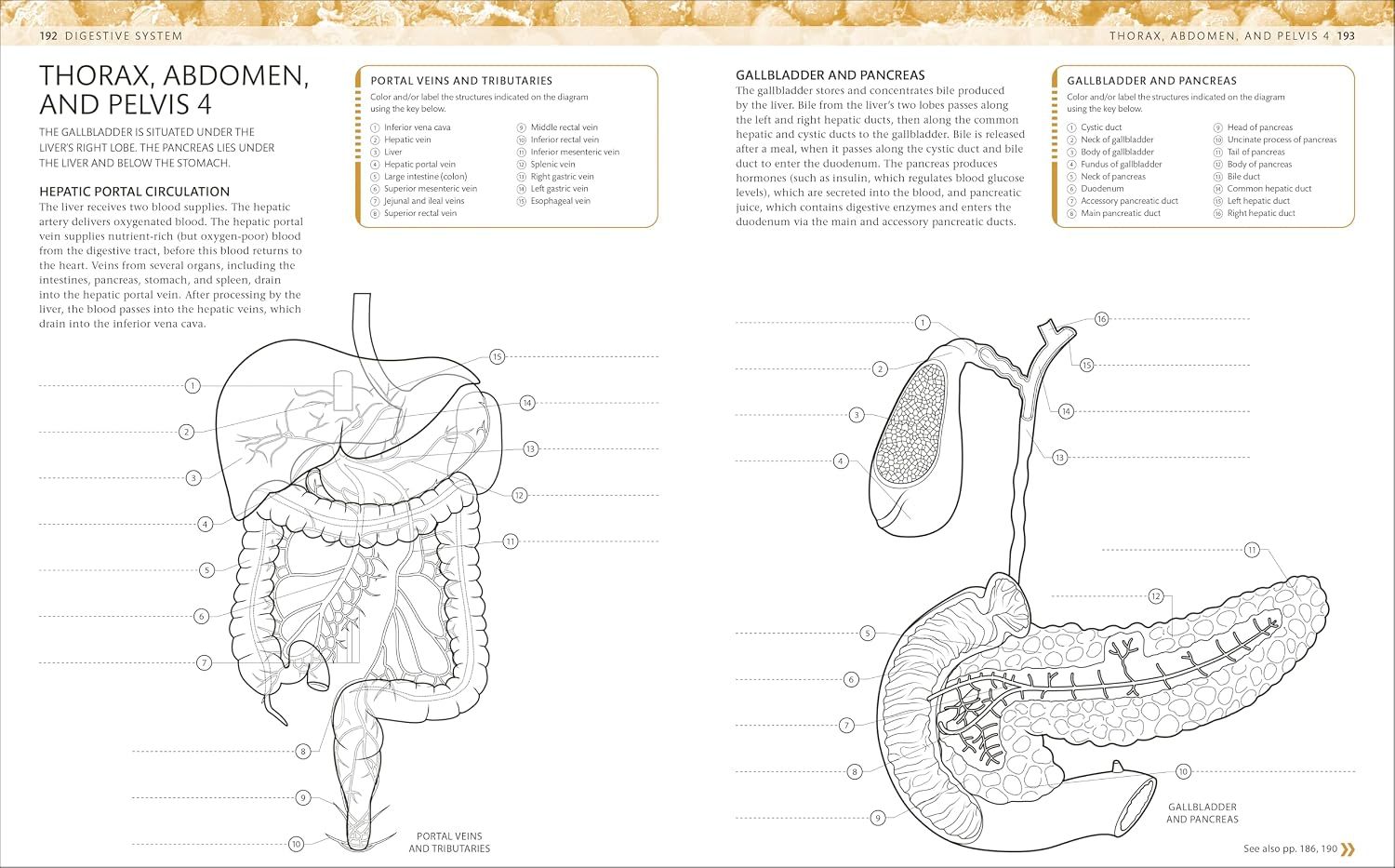 The Human Body Coloring Book + Markers