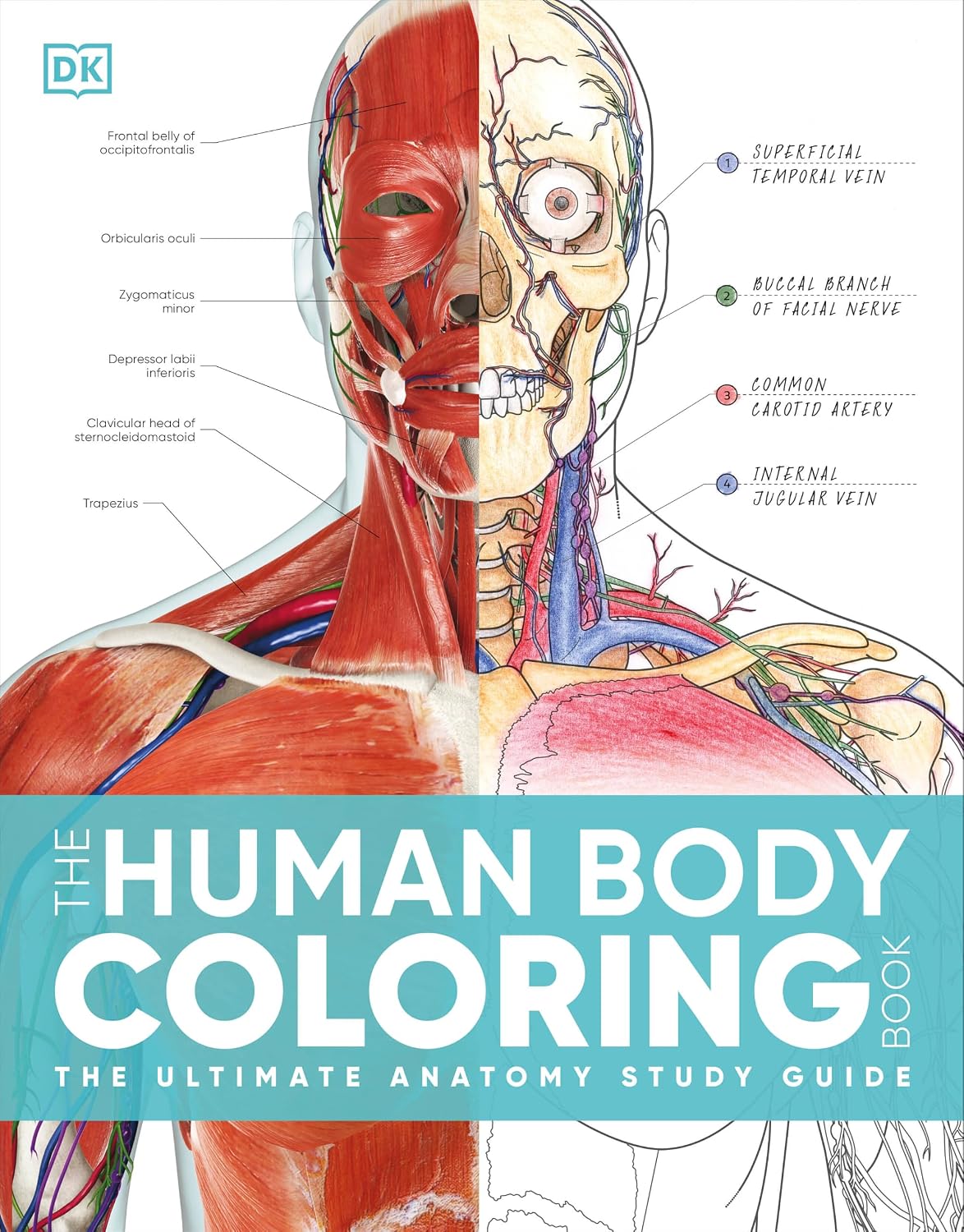 The Human Body Coloring Book + Markers