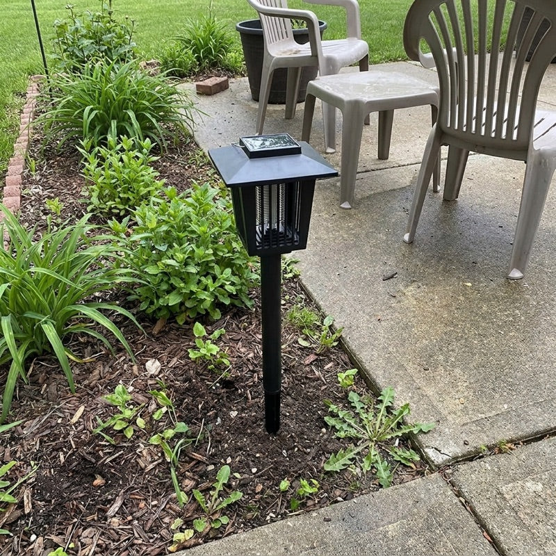 Customer photo: BugZap staked in a flower bed